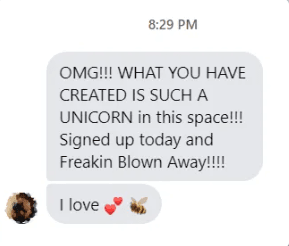 pagewheel testimonial. It looks like a screenshot of a message. and it says: OMG!!! what you have created is such a unicorn in this space!!! signed up today and freaking blown away!! I love!!