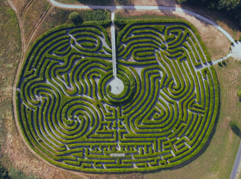 health benefits of flax seed oil. giant maze viewing from the sky above.