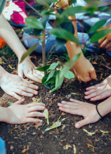 how does grounding work. many hands touching the bare ground, with plants in the middle