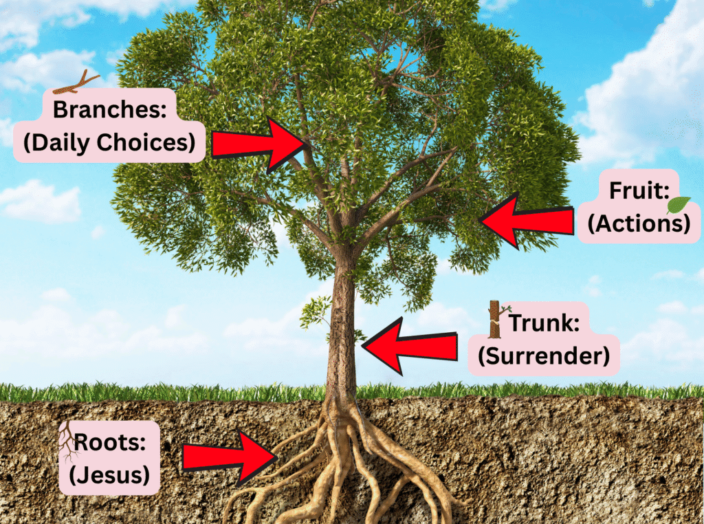 Be a good person. image of a tree showing the roots labeled Jesus, the trunk labeled Surrender, the branches labeled daily choices and the fruit or leaves labeled actions. all with red arrows pointing to the items.