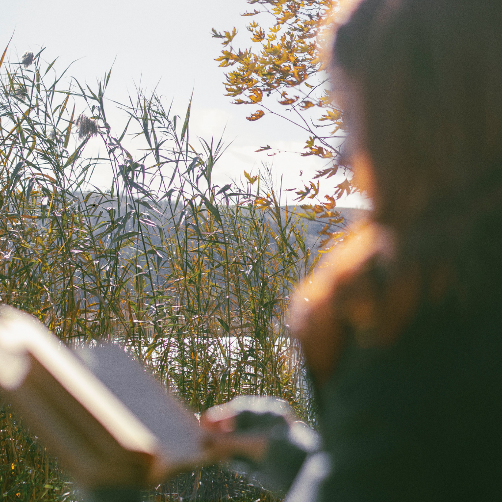 sunny day outside reading