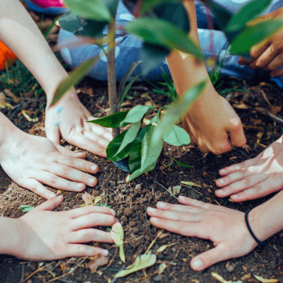 how does grounding work. many hands touching the bare ground, with plants in the middle